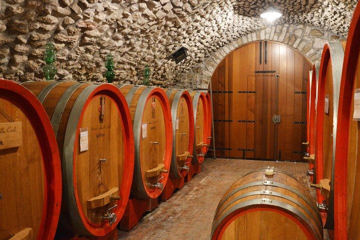 Pagus Wine Tours® - Valpolicella and Amarone with lunch full day wine tour