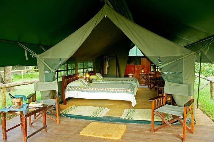 Animal Migration Safaris , Destination - Kenya