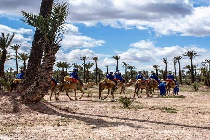 Camel ride tour in Marrakech