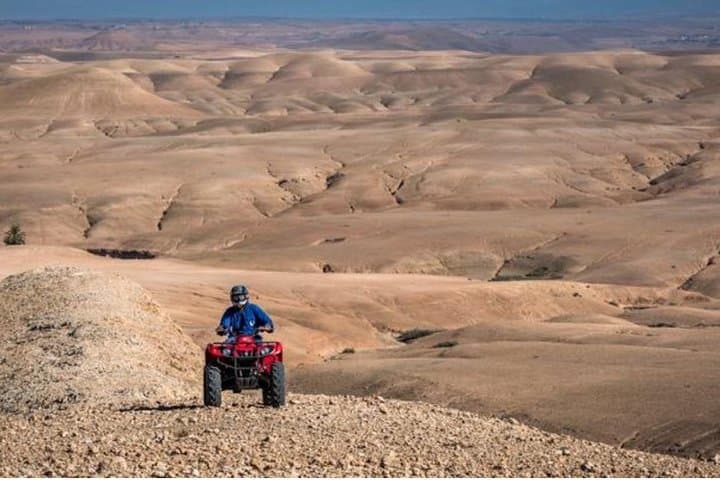 Desert D'Agafay Package - Quad, Dromedary and Dinner Show