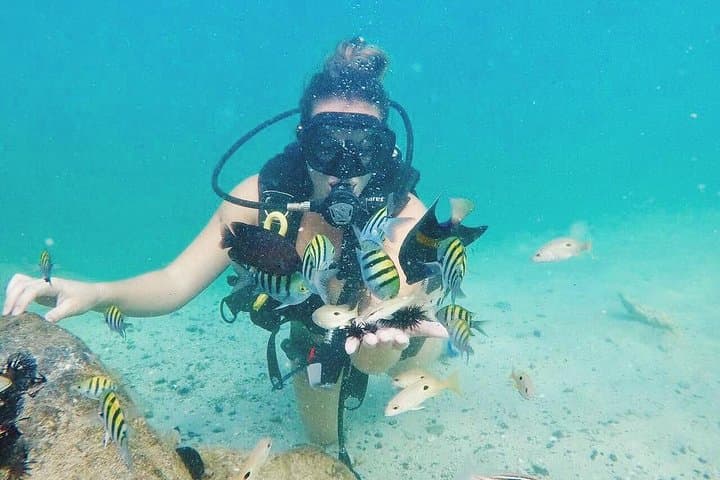 Discover Scuba Diving in Dubai