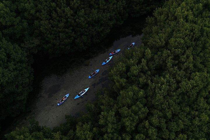 Bioluminescent Bay Kayak Adventure Tour from San Juan
