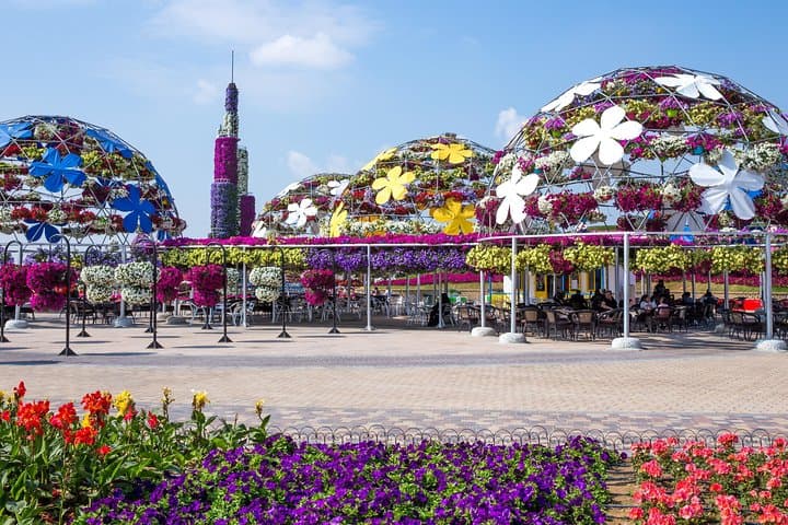 Miracle Garden In Dubai tickets with pickup drop option