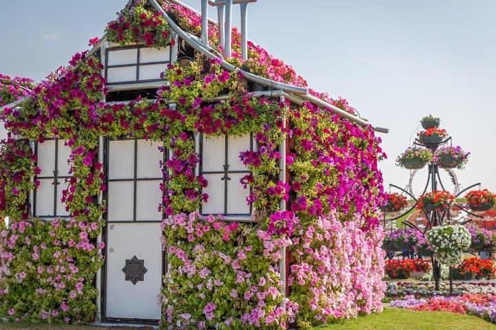 Miracle Garden In Dubai tickets with pickup drop option