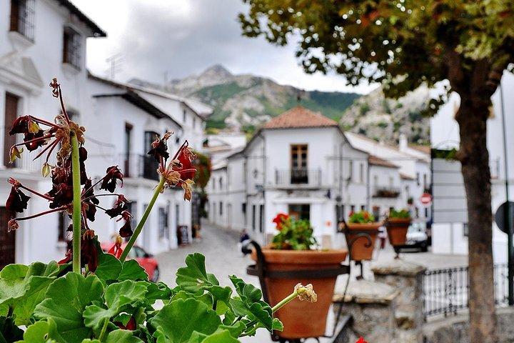 Ronda & White Villages Small Group Tour from Seville