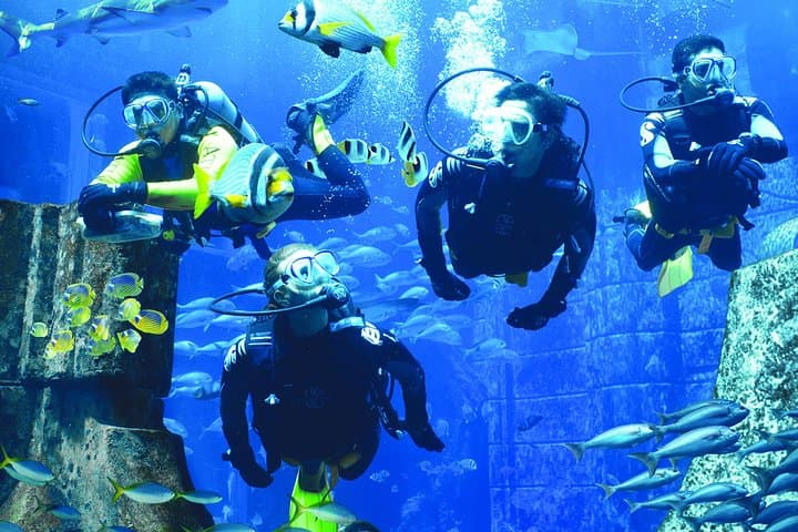 Dubai Lost Chambers Dive Discovery