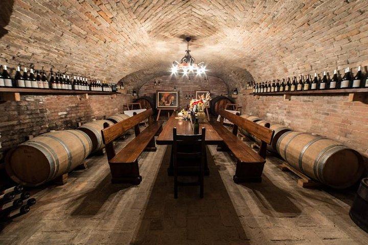 Piedmont Winery Tour: Taste Barolo, Barbaresco & Traditional Food