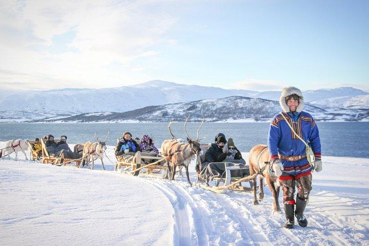 Sami Culture and Short Reindeer Sledding from Tromso