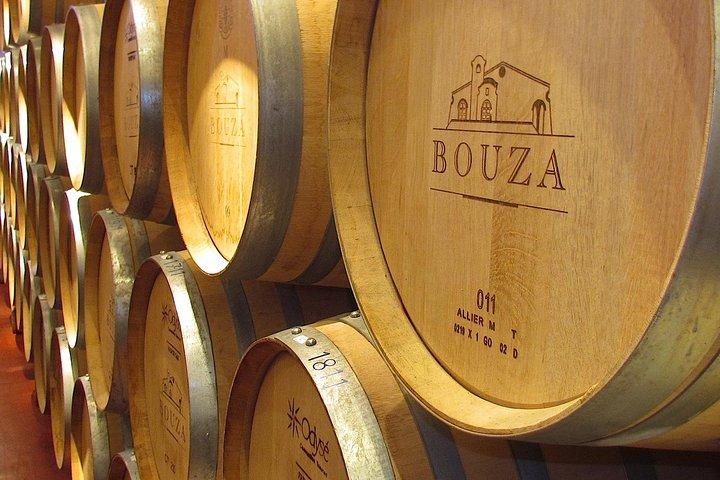 Bouza Winery only Lunch (Esp, Eng, Port)