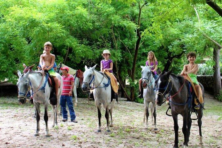 Horseback Riding Jungle and Beach in Playa Flamingo