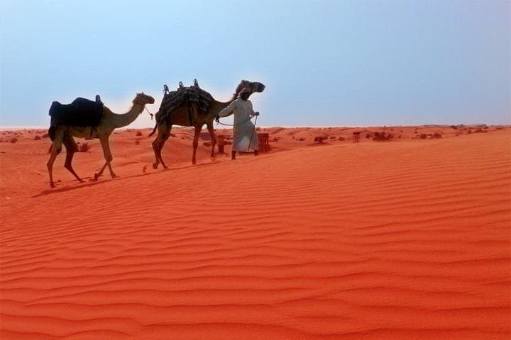 Dubai City Tour (Old & New) Desert Safari, BBQ, Camel Ride, Shows