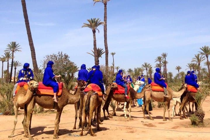 Marrakech Half-Day Camel Ride in Palm Grove