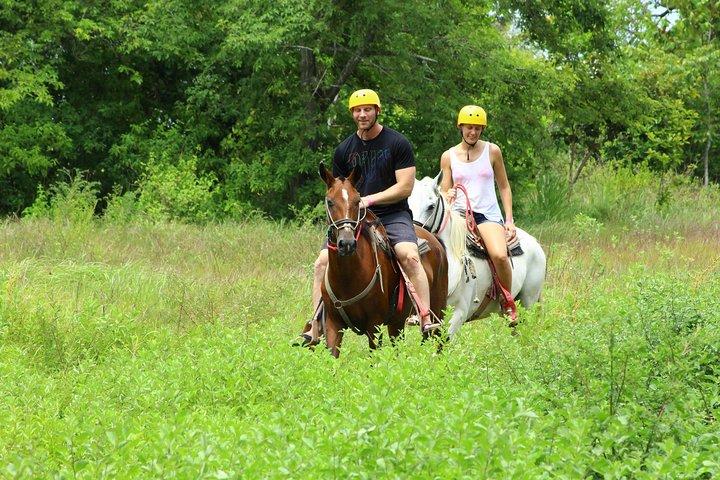 Horseback Riding Jungle and Beach in Playa Flamingo