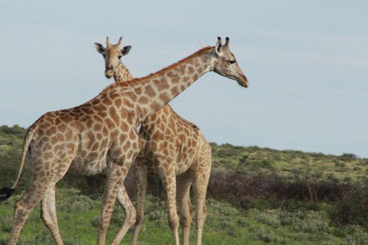 Mokoro Safari 3 Nights 4 Days