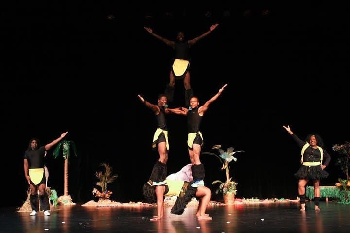 Safari Park Hotel Cat Dance and Dinner Experience
