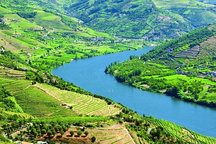 Douro Valley Small Group Tour with Two Winery, Lunch & Boat Trip