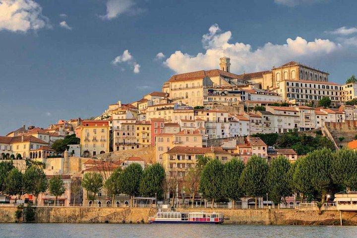 Aveiro and Coimbra Small Group Tour with Moliceiro Boat Cruise