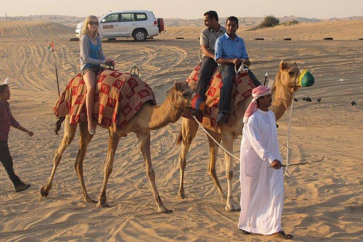 Dubai Desert Safari A Morning Tour For Private group