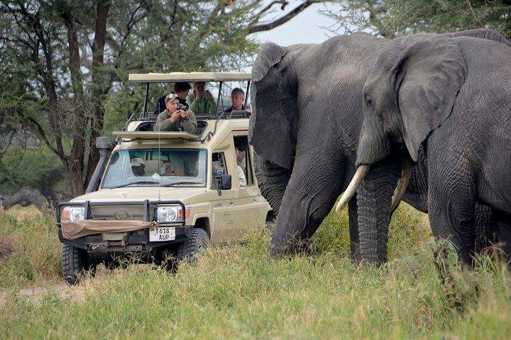 4 Days Masai Mara Lodge Safari on 4x4 Land Cruiser Jeep