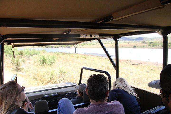 3 Hour Pilanesberg Afternoon Open Vehicle safari drive (Self drive)