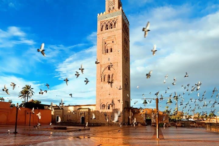 Marrakech Full Day Guided City Tour - Private Tour