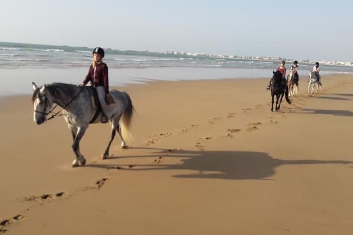 Horse Ride on the Beach in Essaouira