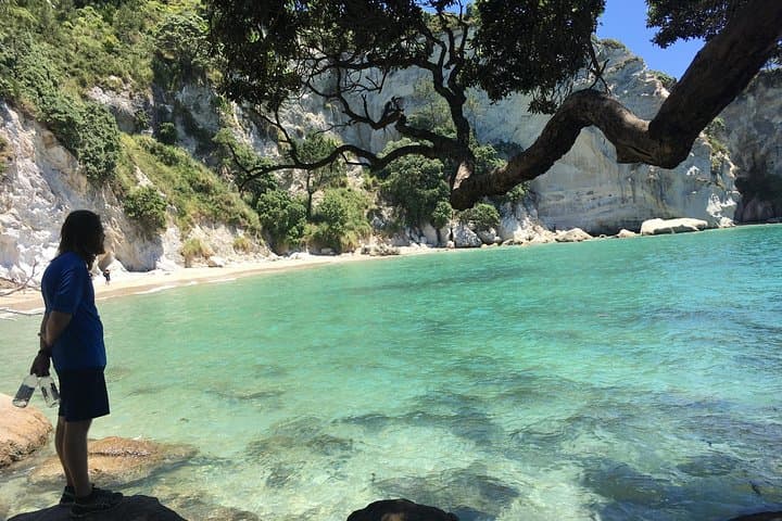 Cathedral Cove Day Trip from Auckland