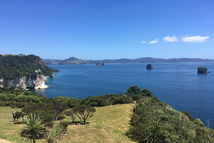 Cathedral Cove Day Trip from Auckland