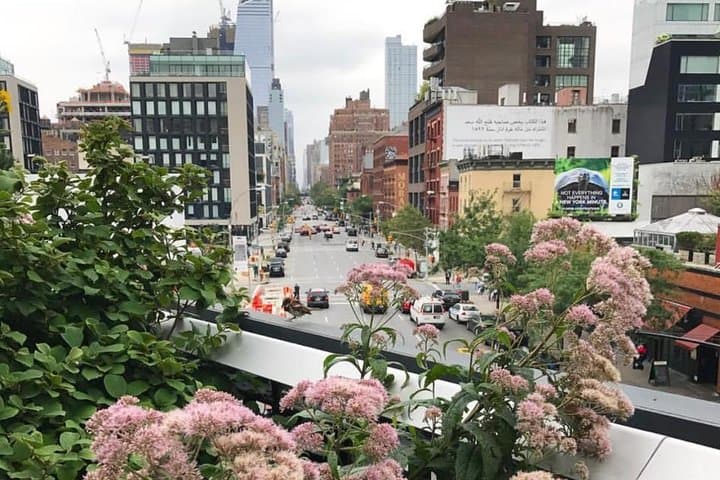 Semi-Private Meatpacking District, Chelsea Market, and High Line Walking Tour