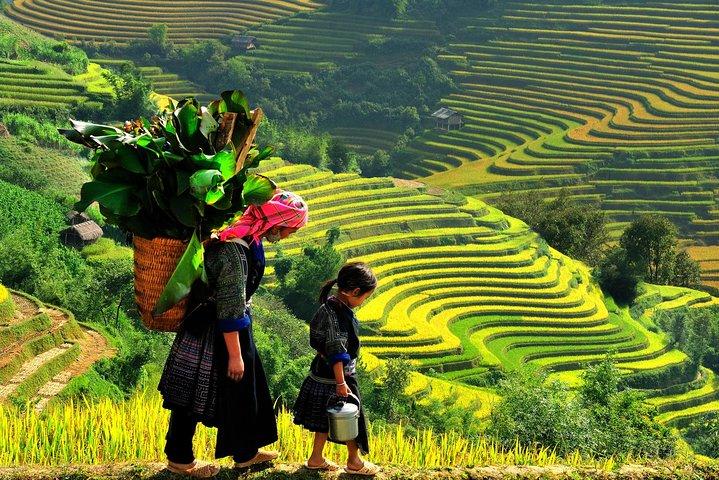 4-day Explore Hanoi City, Ha Long Bay and Sapa Highlights