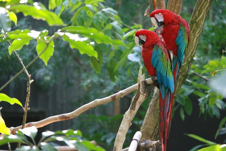 Spectacular Palo Verde Eco-Tour & Blue Zone Adventure