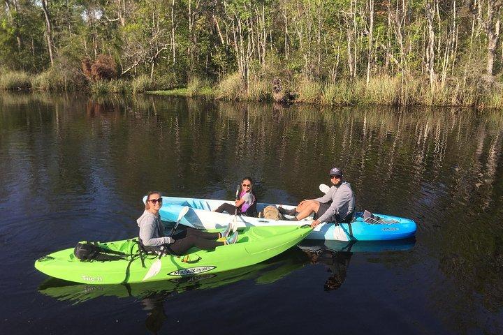 Self-Guided Kayaking: Real Florida Adventure
