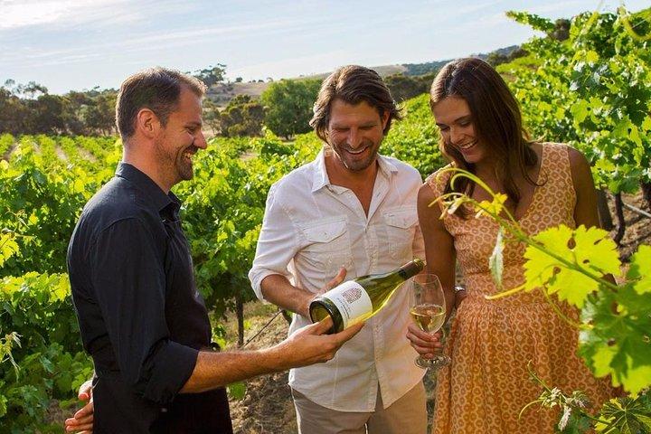 Niagara-on-the-Lake Small Group Wine Tour with Picnic Lunch