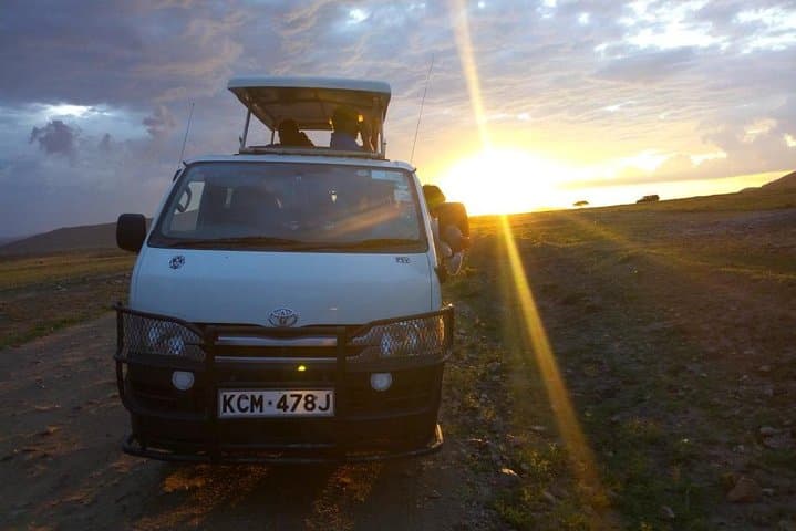 Half Day Nairobi National Park Safari Tour