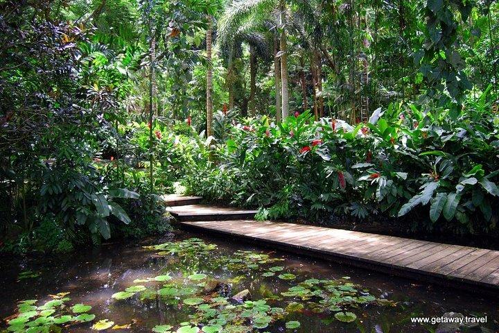 Half Day Nadi Sightseeing & Mud Pool Tour