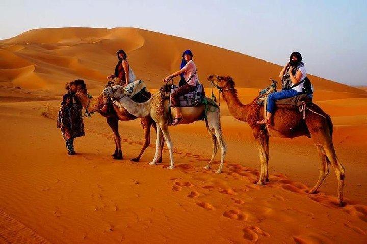 Desert Safari Dubai With Quad Bike