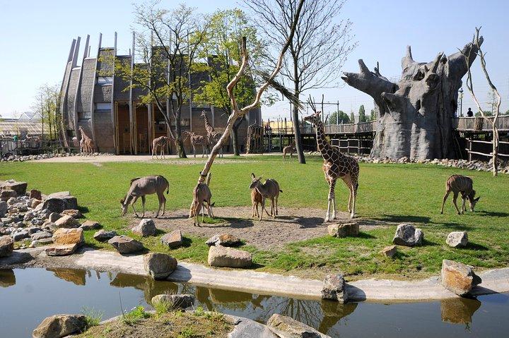 Rotterdam Zoo Diergaarde Blijdorp Direct Entrance Ticket