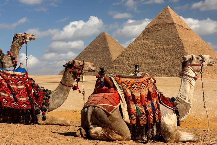 Sakkara Pyramids, Dahshur Pyramids, Giza Pyramids and Sphinx Included Camel Ride