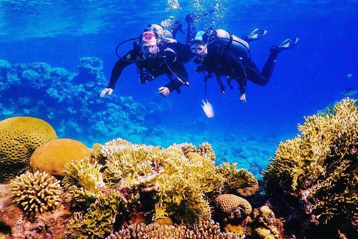 Introduction Diving on Coral Reef with private instructor ( 25 min )