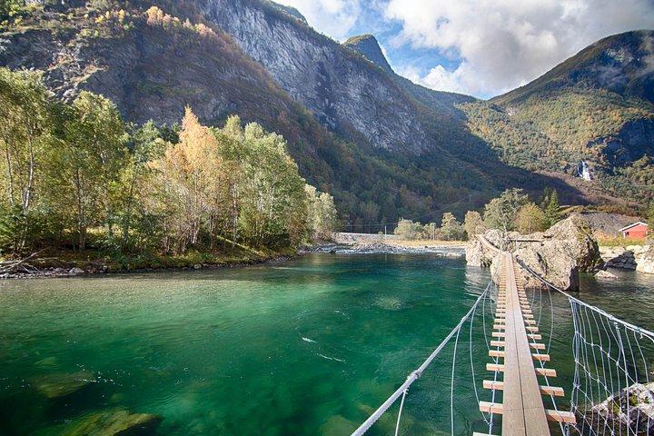 Private tour to Sognefjord and Flåm from Bergen, 24 hr refundable