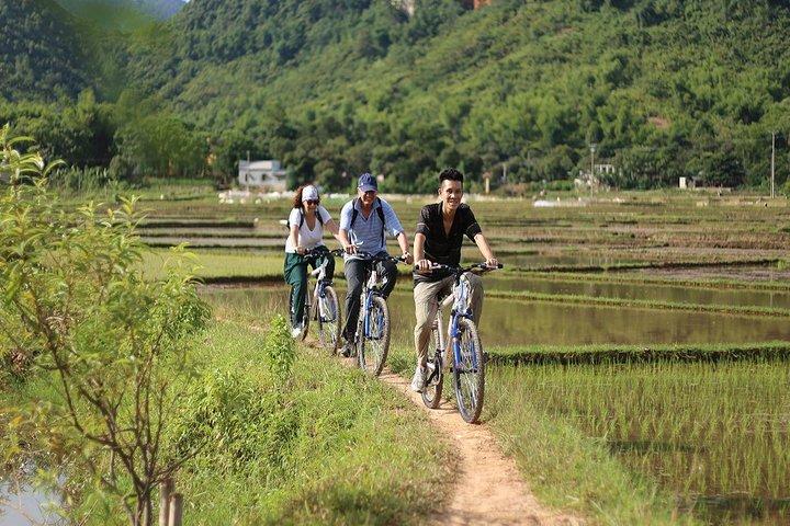Ninh Binh-Hoa Lu-Tam Coc - Mua cave - Dragon Mountain Hiking 1 Day Tour