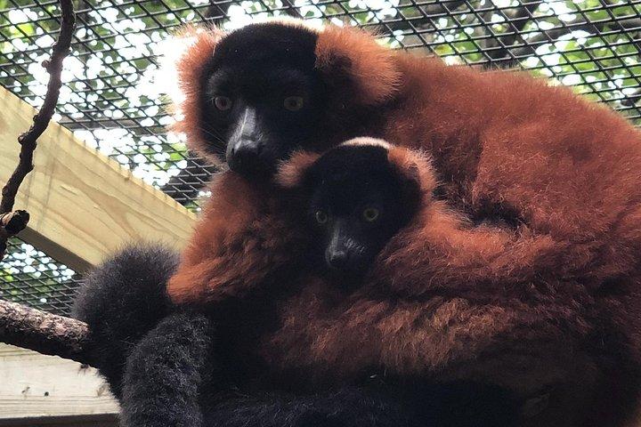 Skip the Line: Miller Park Zoo General Admission Ticket