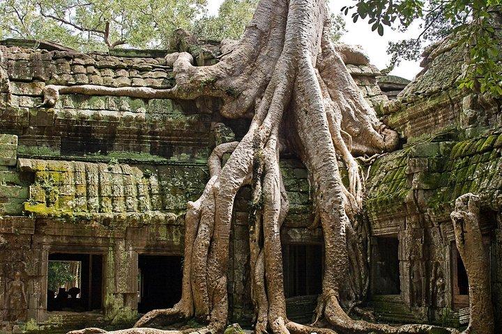 Angkor Wat Sunrise & Small Circuit Tour