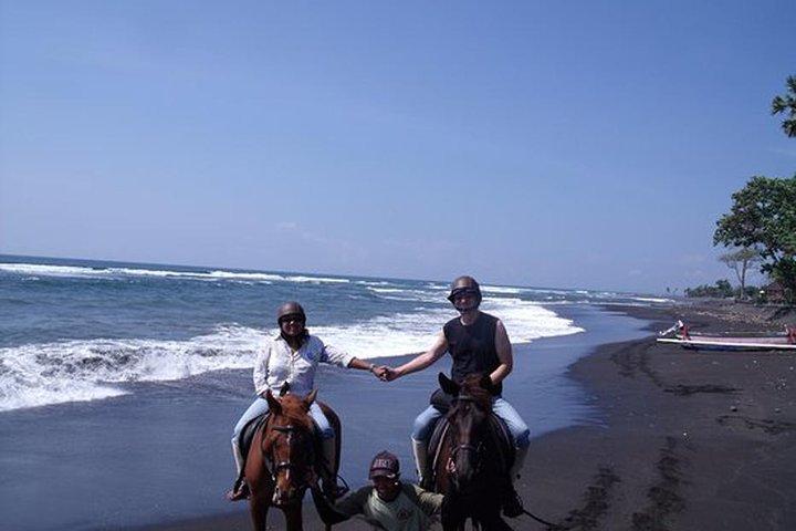 Horse Riding on the Black Sand Beach and Free Hotel Transfers