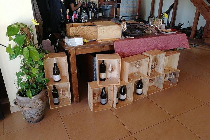 Wine Tasting Tour from Taormina