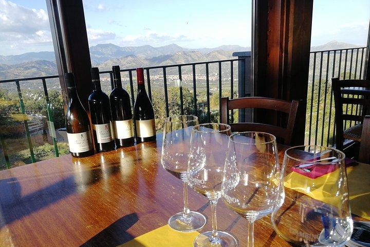 Wine Tasting Tour from Taormina