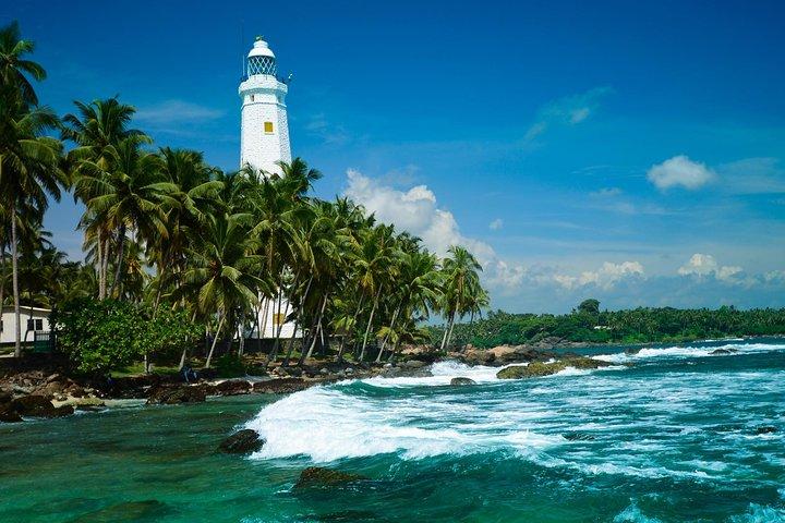 Galle Day Tour with Jungle Beach Experience from Colombo