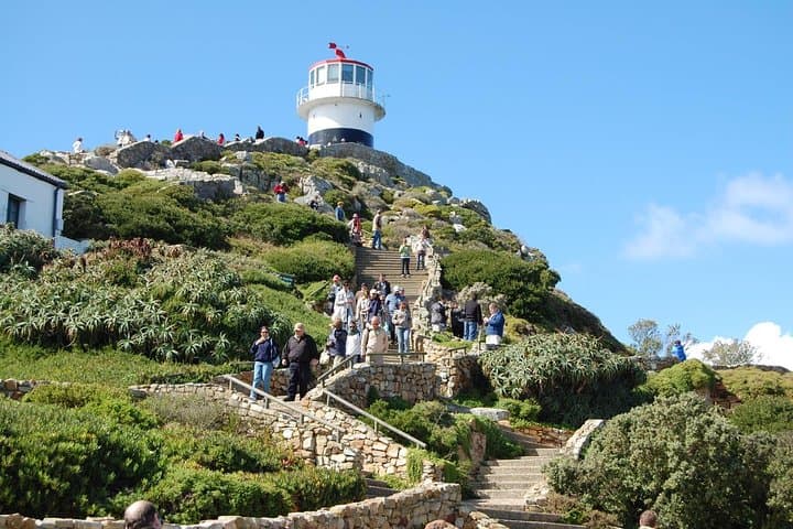 Half day Cape Point Sightseeing Tour with Penguins from Cape Town