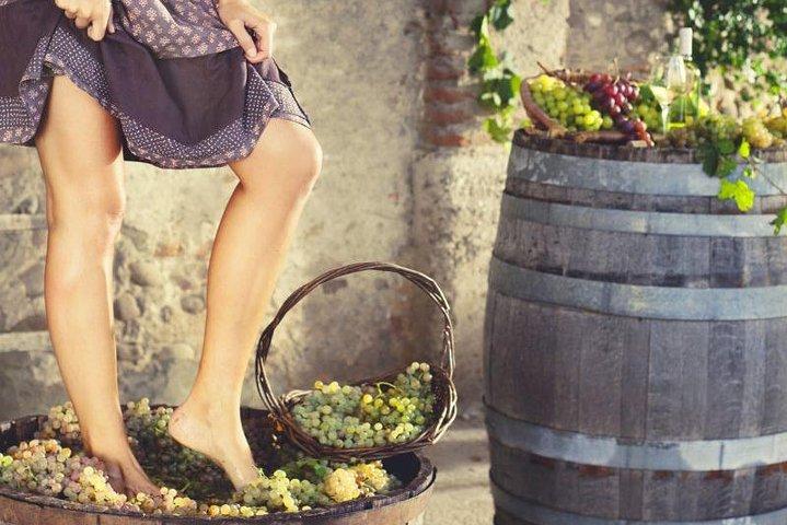 Private Grape stomping in Chianti from Siena