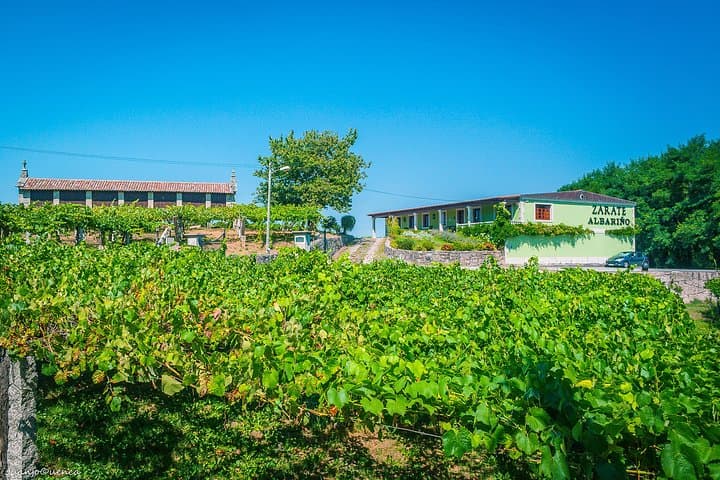 Albariño Private Wine Tour from Santiago de Compostela